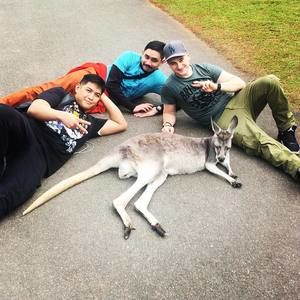 Meet your Posher, Noel a.